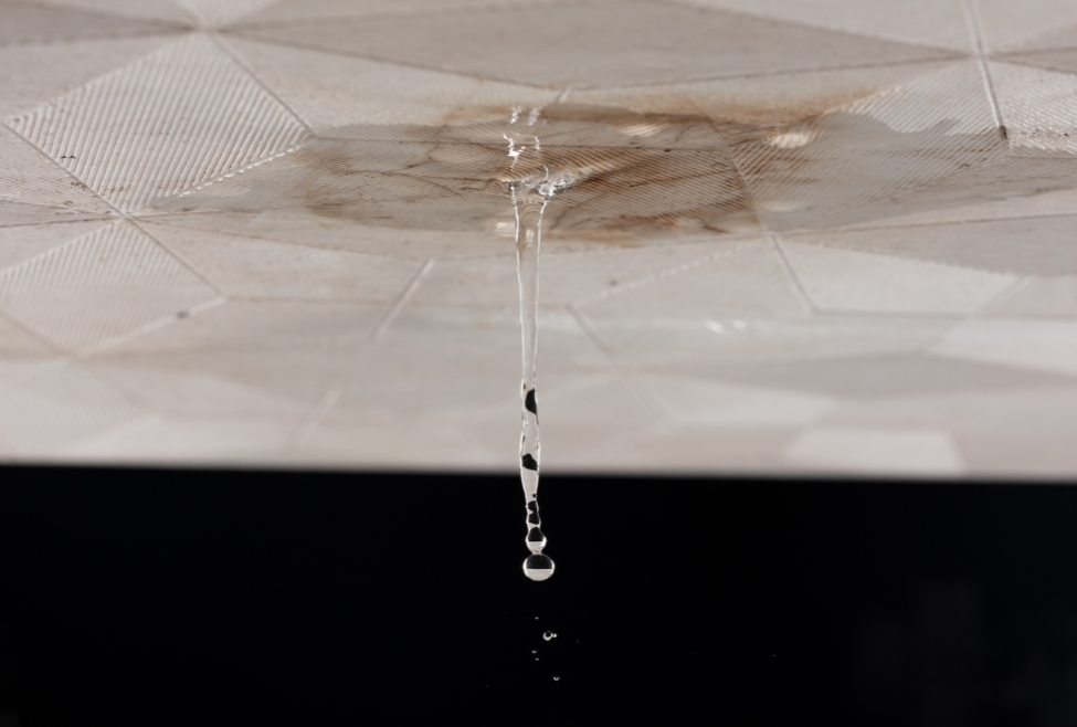 Home Image showing water leaking from a residential ceiling due to rain or a broken pipe, emphasizing the importance of professional plumbing services. Contact us today for water leak repair, ceiling water damage, emergency plumber near me, plumbing services near me, water pipe repair, affordable plumbing repair near me, leak detection services, broken pipe repair, residential plumber, water damage restoration near me, Flow Pro Plumbing, licensed plumber near me, plumbing inspection near me, local plumbing services, fast plumbing repair near me, professional plumber for leaks, plumber near me, plumbing services near me, residential plumber near me, commercial plumbing services, affordable plumber near me, 24/7 emergency plumber, licensed plumber near me, plumbing repair near me, drain cleaning services, water heater repair near me, tankless water heater installation, leak detection services, broken pipe repair near me, plumbing maintenance near me, sewer line repair near me, bathroom plumbing services, kitchen plumbing services, local plumbing company, fast plumbing repair, pipe replacement near me, plumbing upgrades near me, faucet repair near me, toilet repair near me, plumbing inspection services, sump pump repair near me, gas line repair near me, clogged drain repair, water pressure repair near me, professional plumbing services, experienced plumber near me.