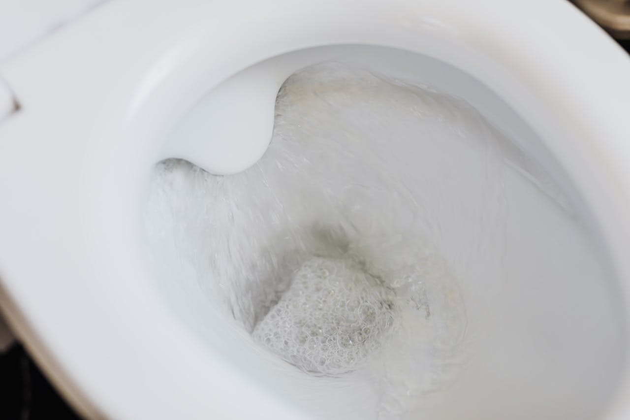 Home toilet problems