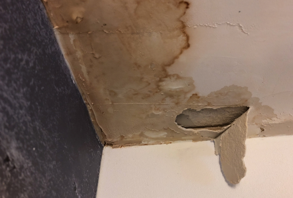 Home Ceiling water damage from a slab leak in home foundation, highlighting need for slab leak detection, emergency plumbing repair, and water pipe repair by Flow Pro Plumbing. Trust us to help with slab leak repair, how serious is a slab leak, signs of a slab leak, emergency slab leak services, slab leak detection, water leak under concrete slab, foundation leak repair, plumbing leak under slab, slab leak repair near me, plumbing inspection for slab leak, residential slab leak repair, water damage from slab leak, cost to repair slab leak, pipe leak under house, leak detection service near me, water line leak under slab, Brentwood slab leak plumber, Antioch slab leak detection, Concord slab leak repair service, Pleasant Hill plumbing repair, emergency plumber near me, Flow Pro Plumbing services, professional slab leak repair near me.