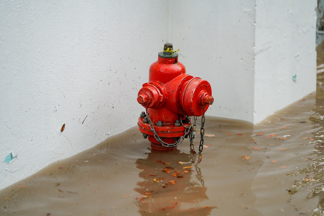 Home "Which plumbing companies in the Brentwood area specialize in basement flood prevention?"