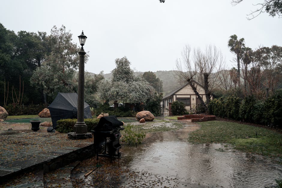 Home 24 hour sewer main line repair in concord, ca