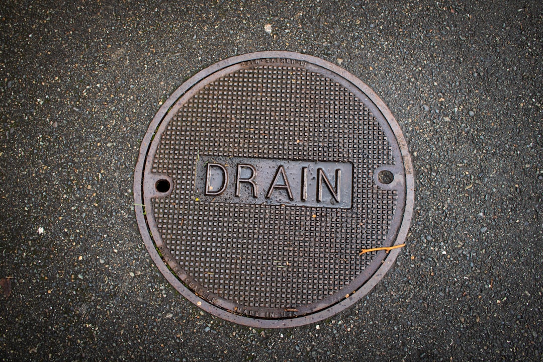 Home how to prevent clogged drains at home