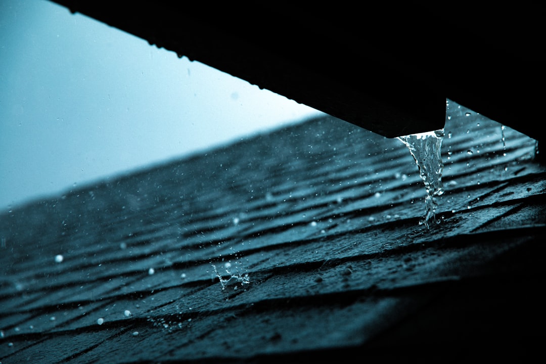 Home signs of a hidden water leak in your home