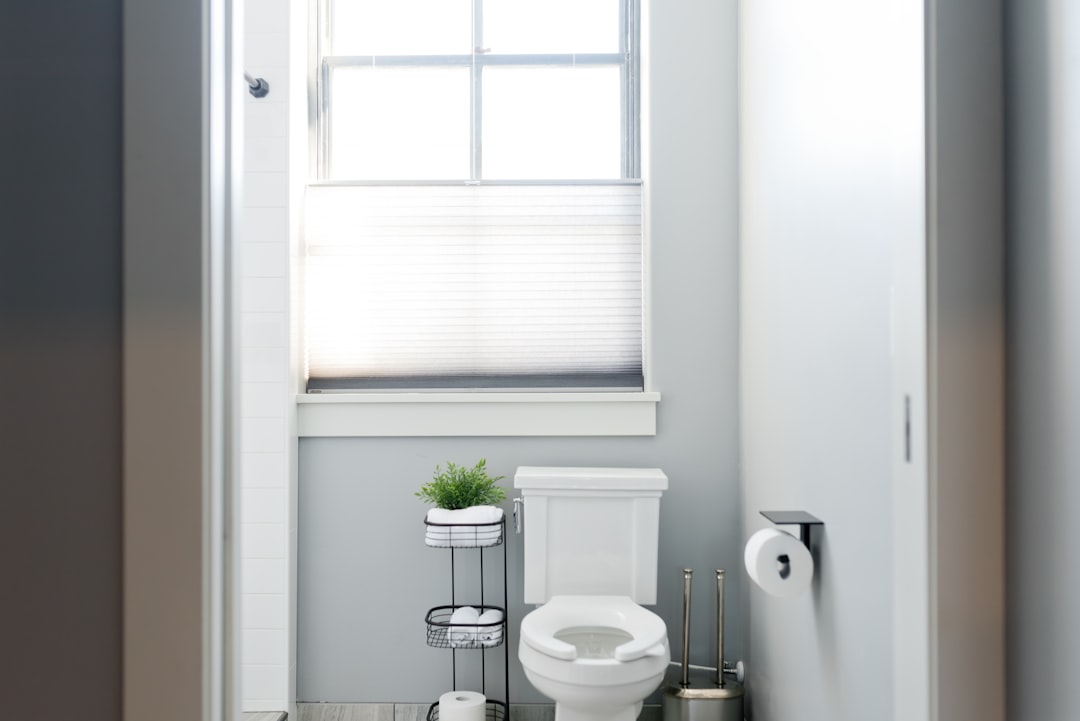 Home common toilet problems homeowners should know