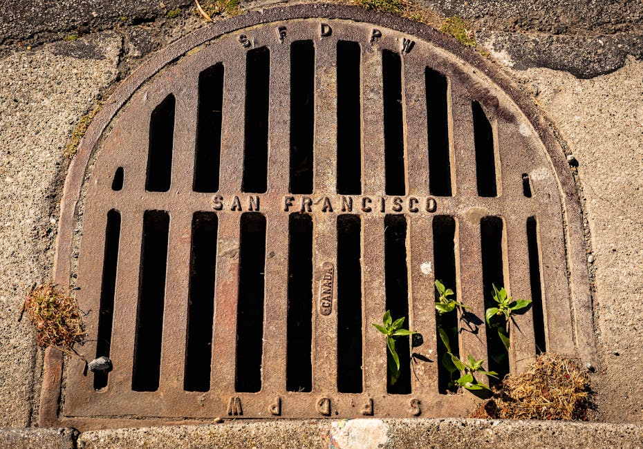 Home why does my drain smell bad