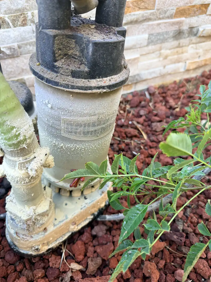 Home the ultimate guide to best water treatment for northern california homes image